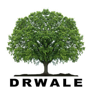 Pielęgnacja i wycinka drzew metodą alpinistyczną